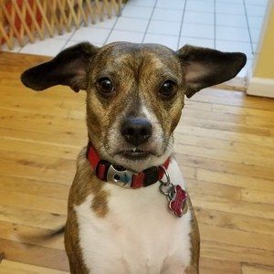 Meet your Posher, Jody